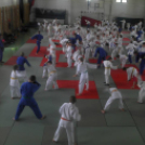 Országos judo edzőtábor - dombóvári részvétellel