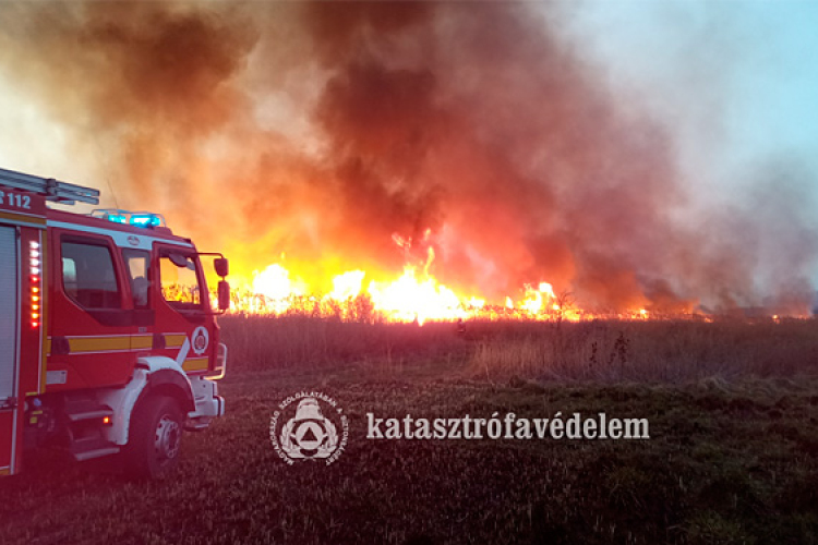 Március 10-től tűzgyújtási tilalom van az egész országban