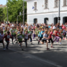 Domaine Gróf Zichy Utcai Futóverseny Szekszárd