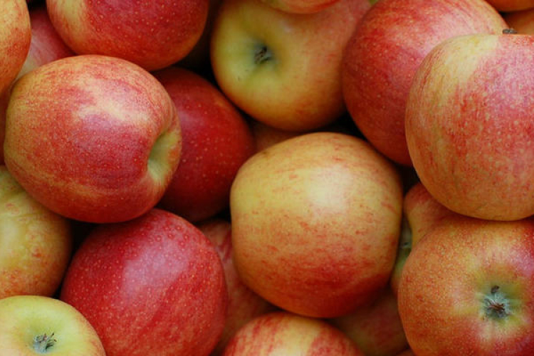 AM: a magyar alma biztonságos és kiváló minőségű