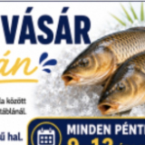 Élő hal vásár Attalán - Bognár Attila
