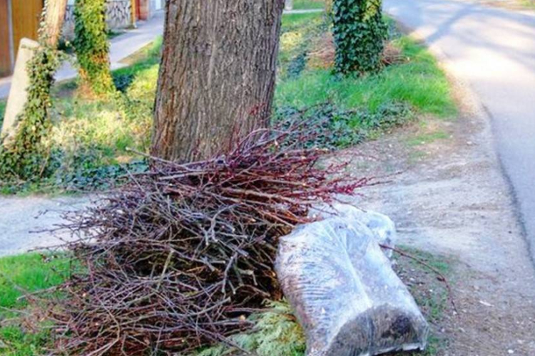 Változik a zöldhulladék-szállítás Dombóváron