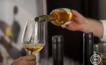 Idén is balatoni termelők nyerték a Magyar Bor Nagydíjat