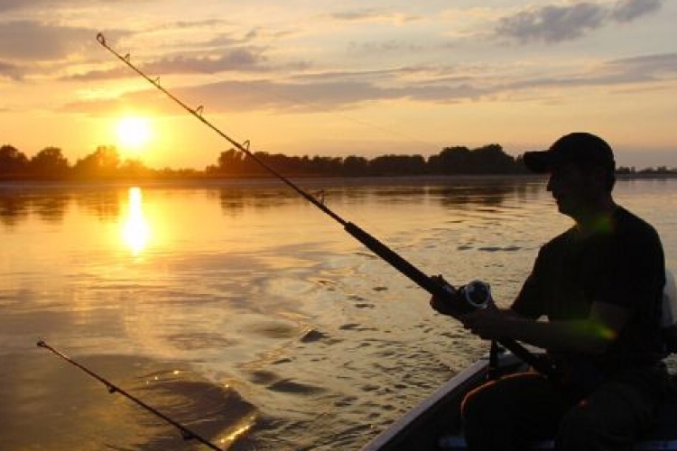 NÉBIH: népszerű az online turista horgászjegy
