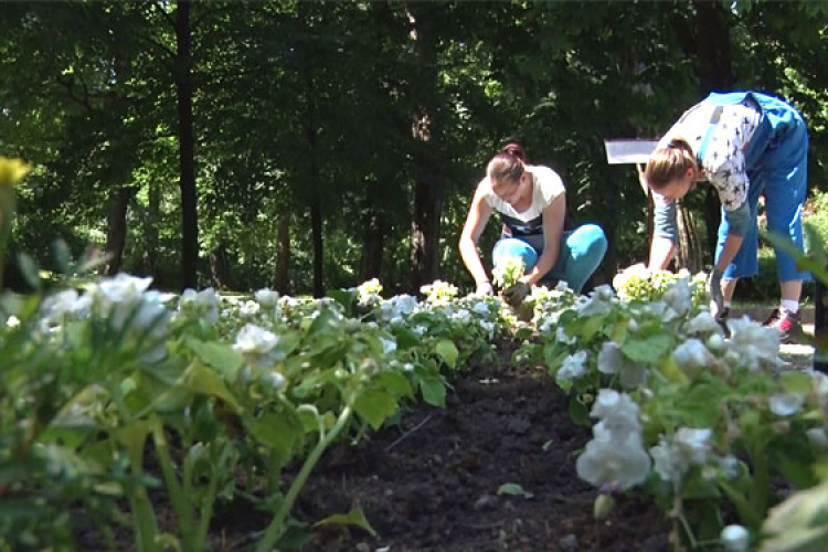 Virágokat ültetnek városszerte