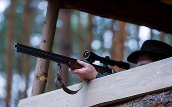 Orvvadászokat fogott el a rendőrség Veszprém megyében