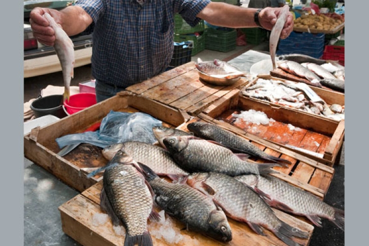 Élő hal vásárt tartanak minden pénteken Dombóvárhoz közel, Attalán