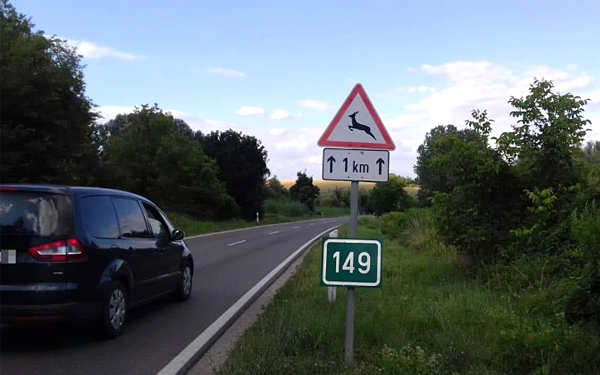 A vadelütések megelőzése érdekében