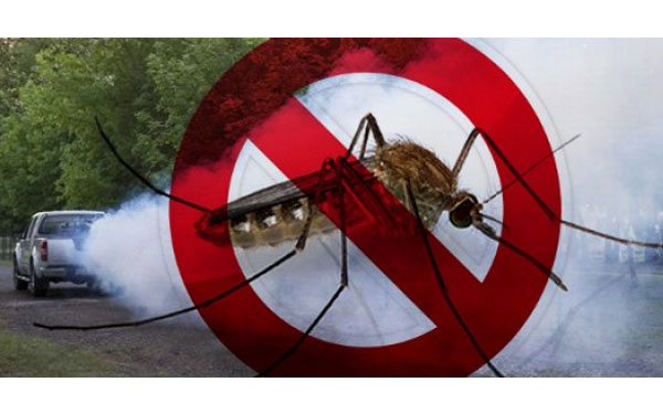 Újra szúnyoggyérítés lesz Dombóváron