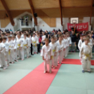 Barcsi Regionális Judo Verseny