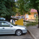 Faág zuhant a járdára Dombóváron